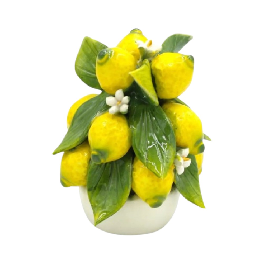 Topiario -Pyramid A Lemons 12 CM