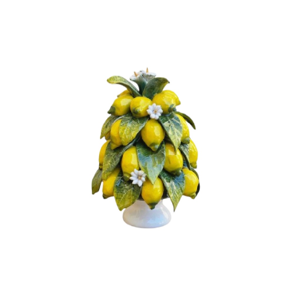 Topiario -Pyramid A Lemons 14 CM